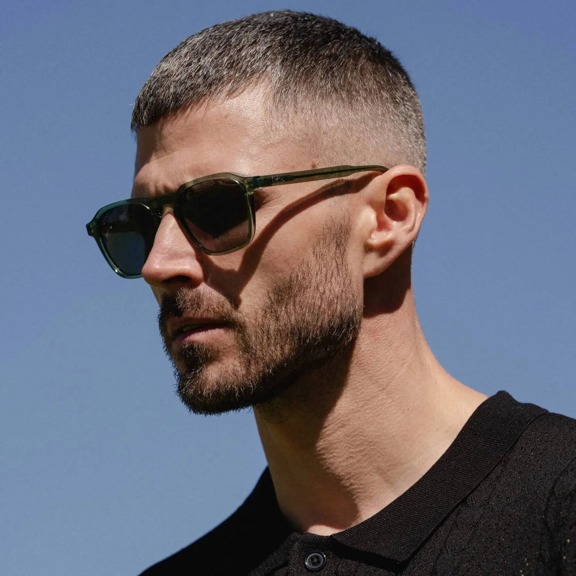 Francis | 1073 Polarized