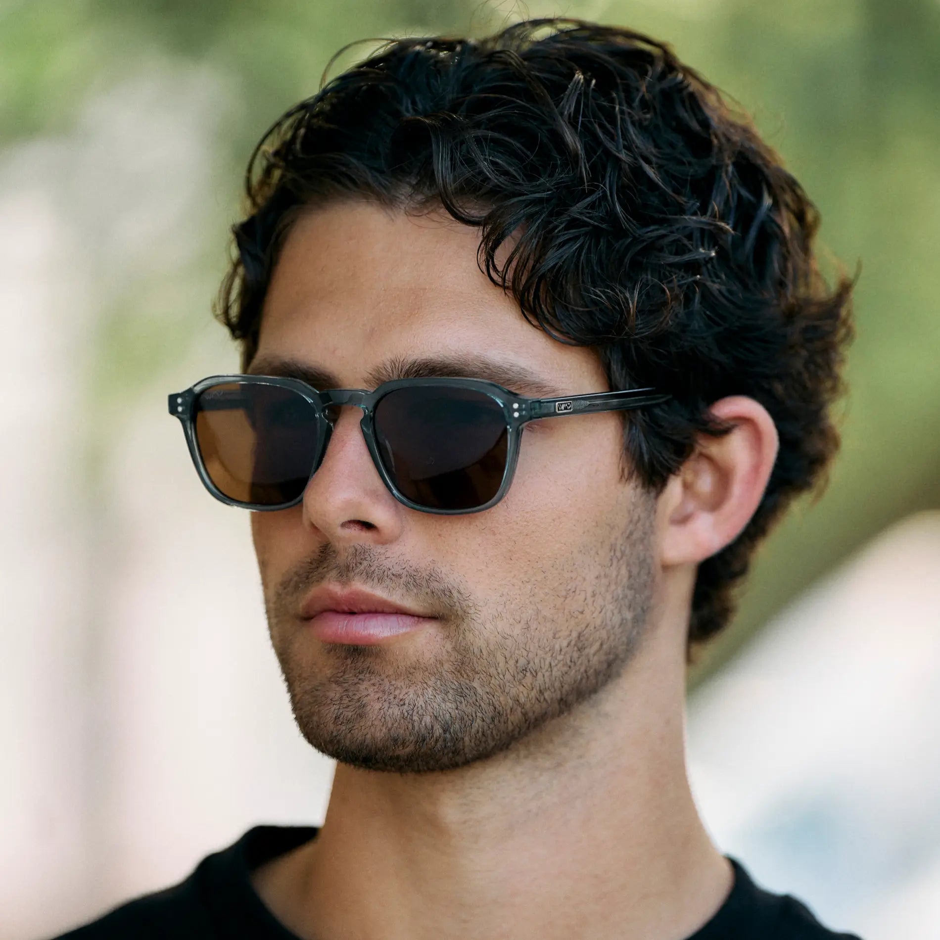 Francis | 1073 Polarized