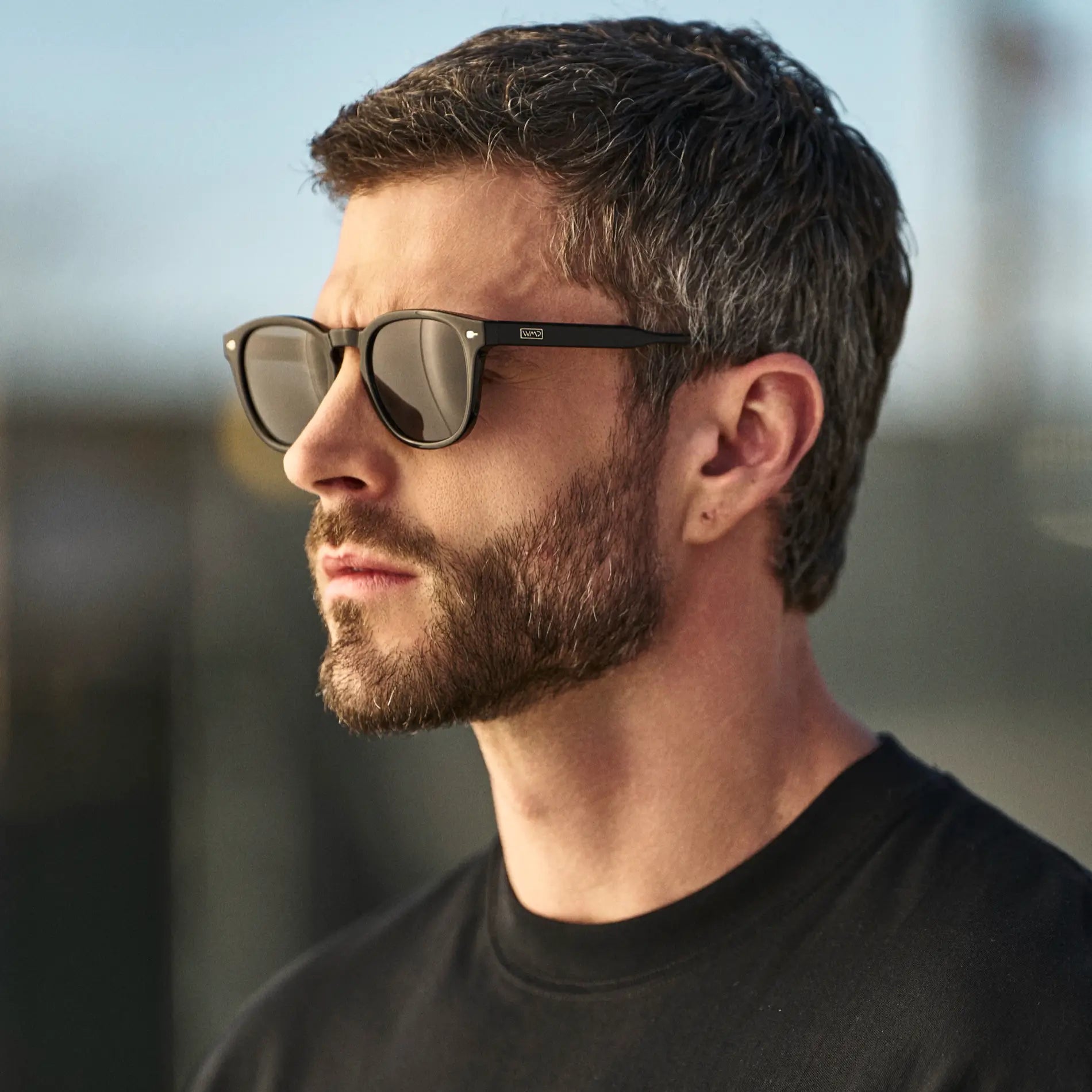 Scout | 1136 Polarized