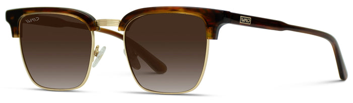 1056 Polarized