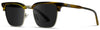 1056 Polarized