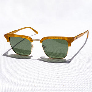 1056 Polarized