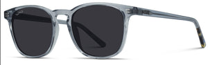 1023 Polarized