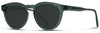 1039 Polarized